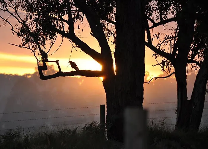Tallawarra Homestead