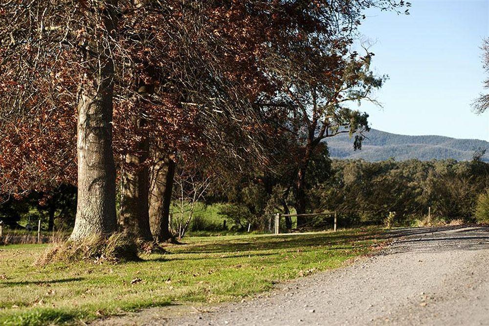 Tallawarra Homestead Bed & Breakfast