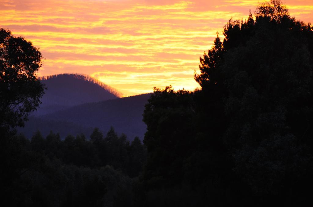 Tallawarra Homestead 5* Tonimbuc