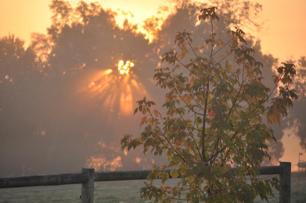 Tallawarra Homestead Bed & Breakfast