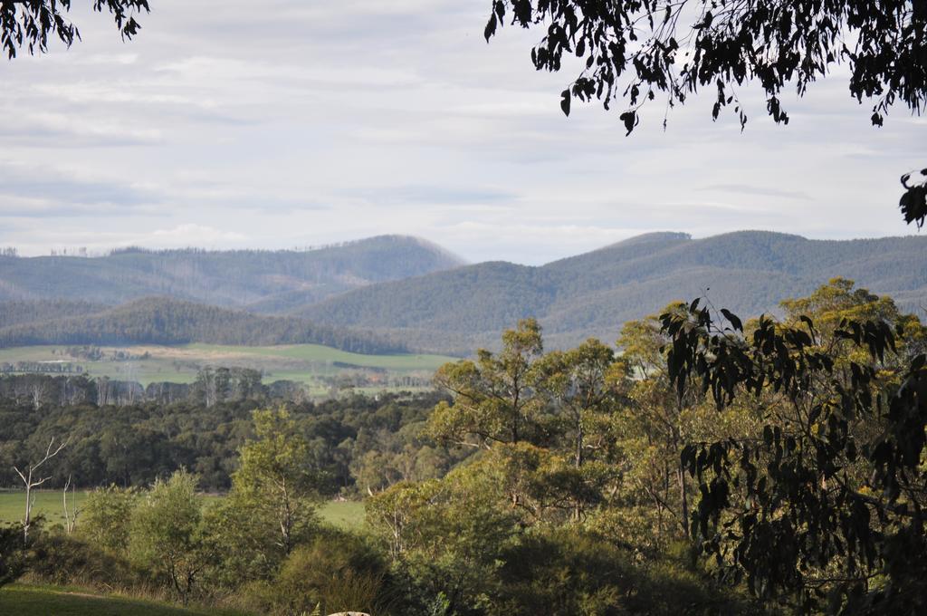 Tallawarra Homestead Bed & Breakfast Tonimbuc