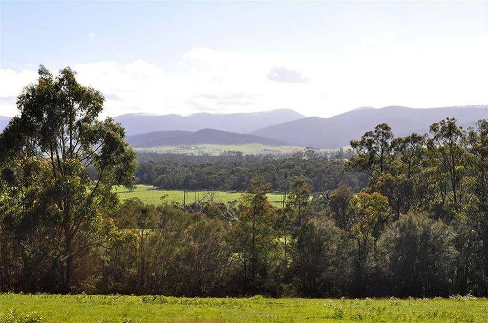 Tallawarra Homestead Tonimbuc